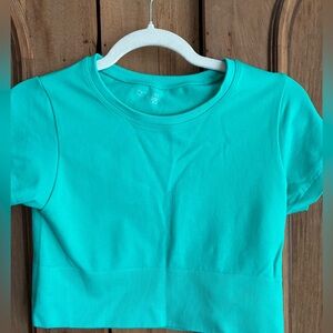 Offline By Aerie Sidewalk Seamless Cropped T-Shirt